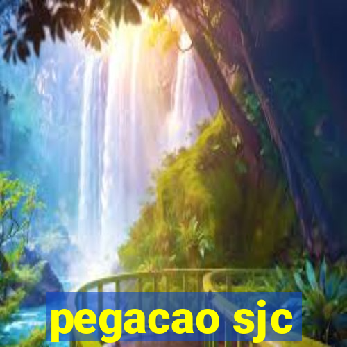 pegacao sjc